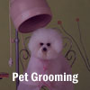 Pet Grooming