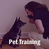 Pet Training
