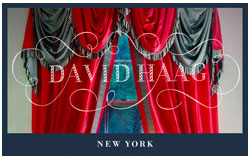David Haag Upholstery & Window Treatments  New York City