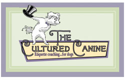 The Cultured Canine Pet Training  New York City