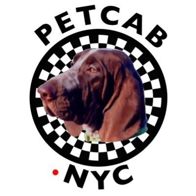 Pet Cab Pet Chauffeur  New York City